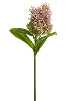 Soft Mauve