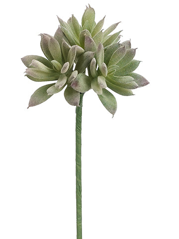 10" Sedum Bouquet Pick x3  Green Gray (pack of 24)