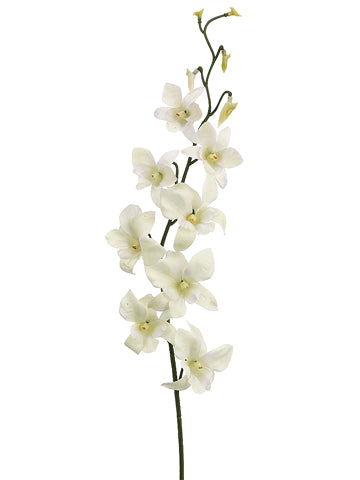 30" Dendrobium Orchid Spray x1 with 8 Flowers and 5 Buds Cream White (pack of 12)