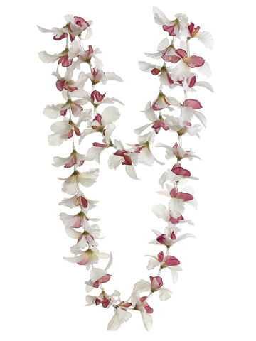 Cream Orchid
