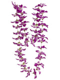 Purple White