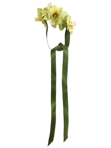 4" Phalaenopsis Orchid Wrist Corsage Two Tone Green (pack of 24)