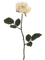 Vanilla