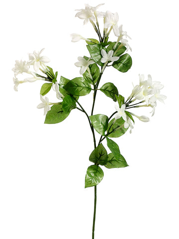 27" Stephanotis Spray x3 White   (pack of 12)