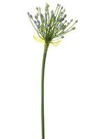 Lavender Green