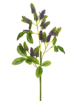 Purple Green