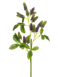 Purple Green