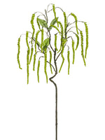 37" Amaranthus Hanging Spray  Green (pack of 12)