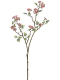 Beauty Pink