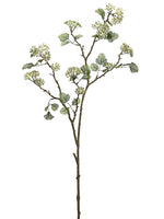 Cream Green