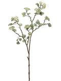 Cream Green