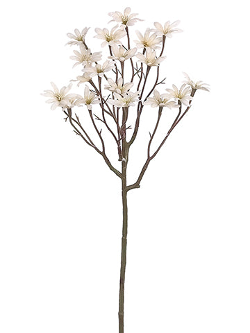 22" Aster Spray  Beige (pack of 12)