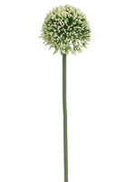 Cream Green