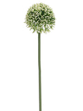 Cream Green