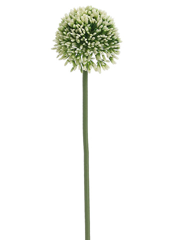 Cream Green