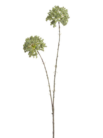 28.5" Allium Spray  Green (pack of 12)