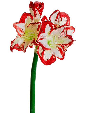 Red Cream