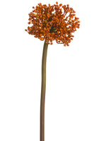 24" Allium Spray  Orange Brown (pack of 12)