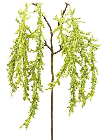 42" Amaranthus Hanging Spray  Green (pack of 12)