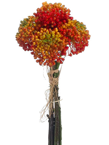 17" Allium Bundle x5  Flame Yellow (pack of 6)