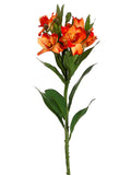 Two Tone Orange