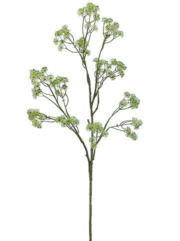 49" Aralia Spray  Green (pack of 6)