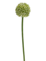 21" Allium Spray  Light Green (pack of 24)