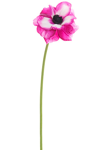 18" Anemone Spray  Rubrum (pack of 12)