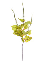 33" Amaranthus Spray  Green (pack of 12)