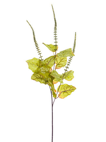 33" Amaranthus Spray  Green (pack of 12)