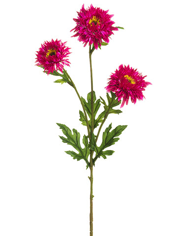 Two Tone Cerise