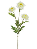 Cream Yellow