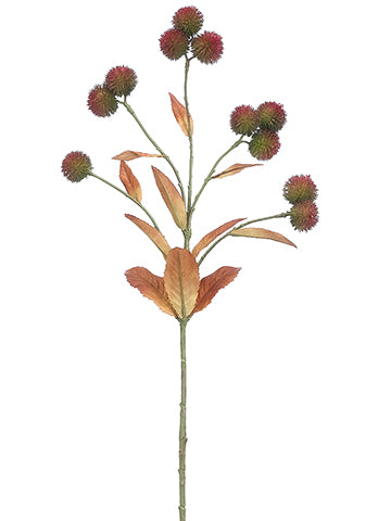 30" Arctium Spray  Red Brown (pack of 24)