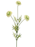 Cream Green