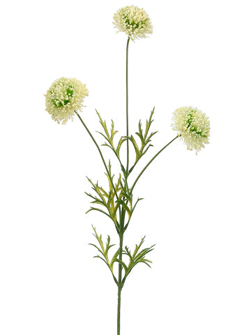 Cream Green