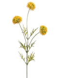 Yellow Green