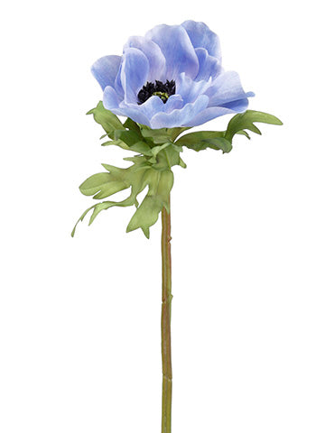 Delphinium Blue