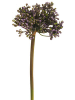 Lavender Green