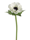 Cream Black