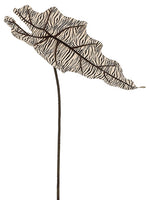20" Zebra Print Alocasia Leaf Spray Cream Black (pack of 12)