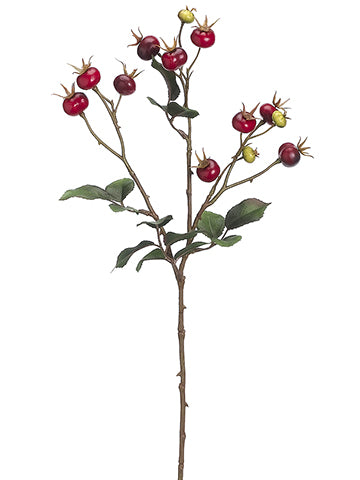 26" Rosehip Spray  Two Tone Burgundy (pack of 12)