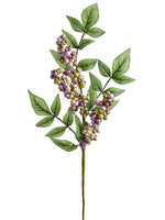 Lavender Green