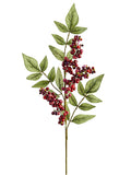 Red Burgundy