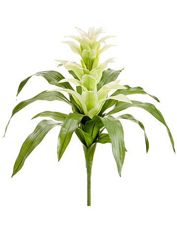 Green White