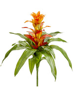 Orange Flame