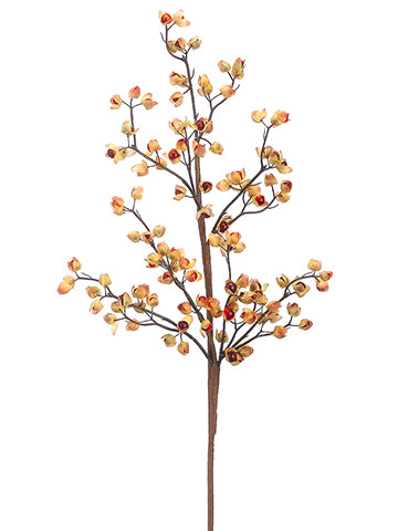 26" Bittersweet Spray  Orange (pack of 12)