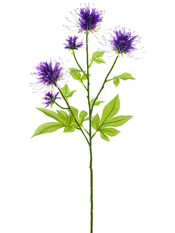 27" Bee Balm Spray  Violet (pack of 12)