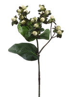 22.5" Hypericum Spray  Green Cream (pack of 12)