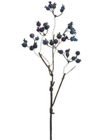 Eggplant Blue
