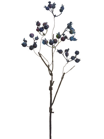 Eggplant Blue